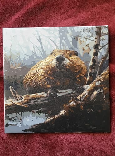 Customer photo review of Beaver at the Core