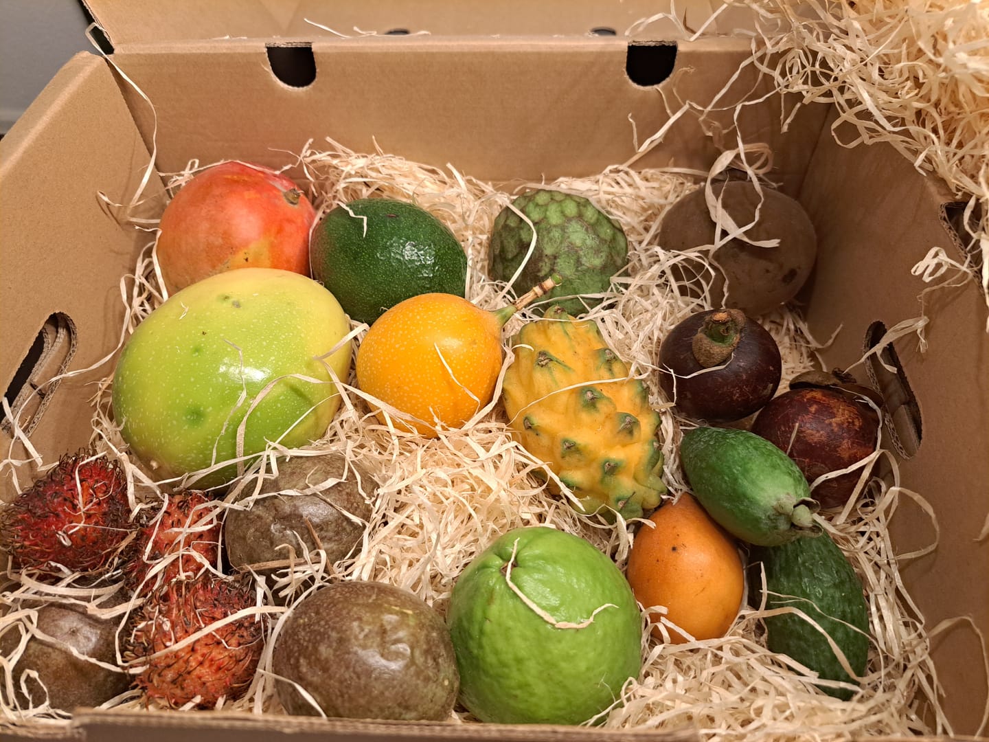 Customer photo review of Tropenreise Südamerika Box