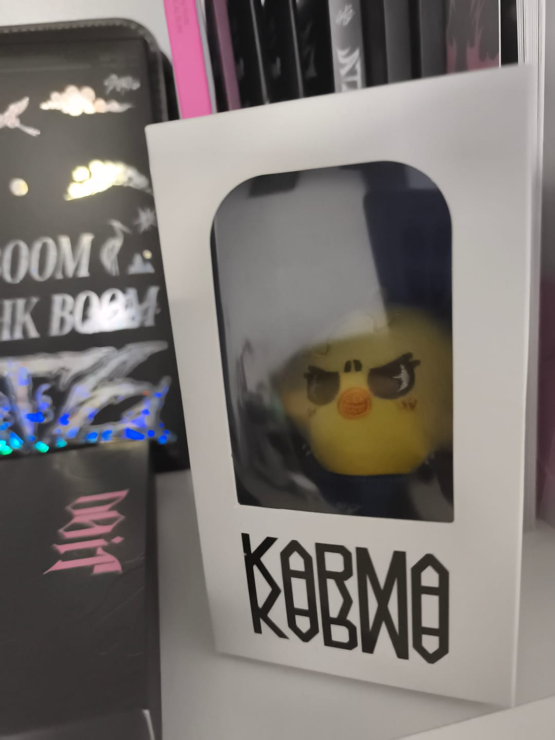 Customer photo review of SKZ KARMA Plush Keyring Ver.