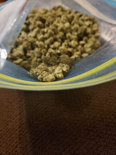 Customer photo review of Alien OG Littles - Bulk Littles - Indica
