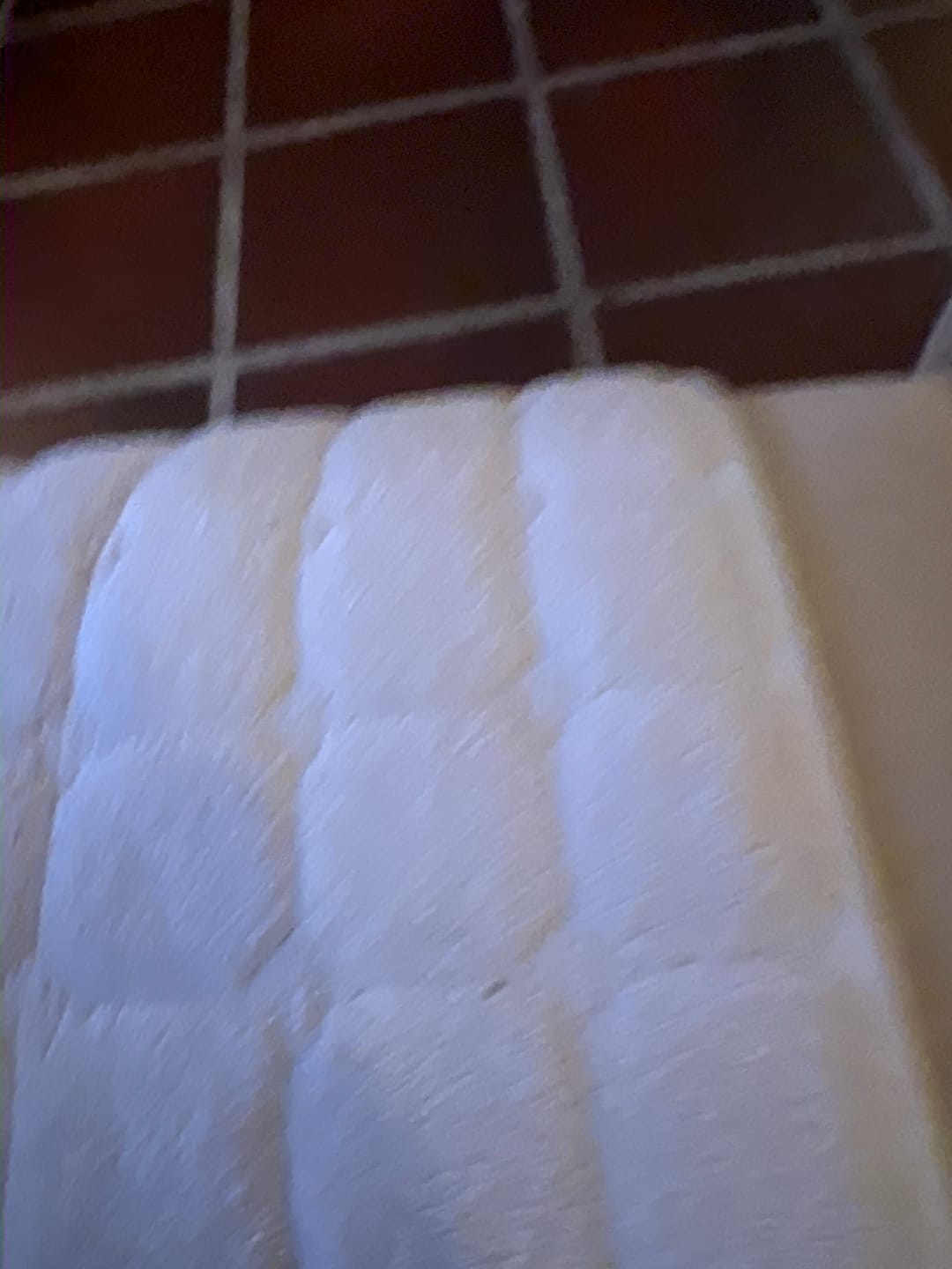 Customer photo review of Aquabliss - Extrafilter