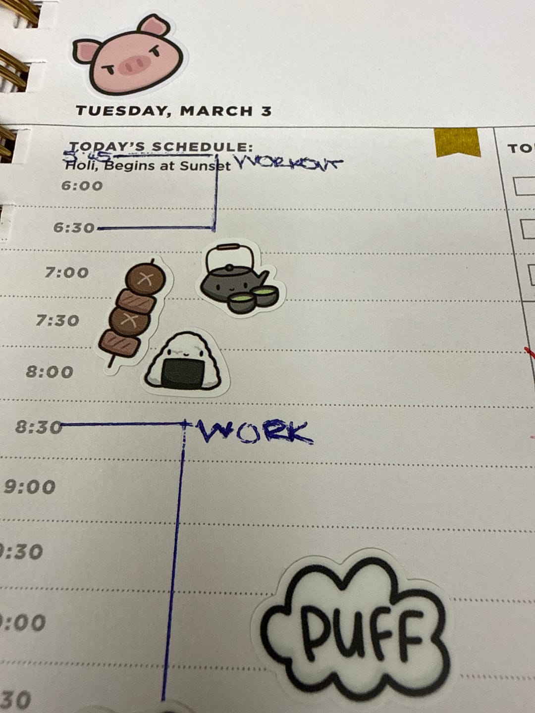 Customer photo review of Japanese Street Snacks Planner Stickers