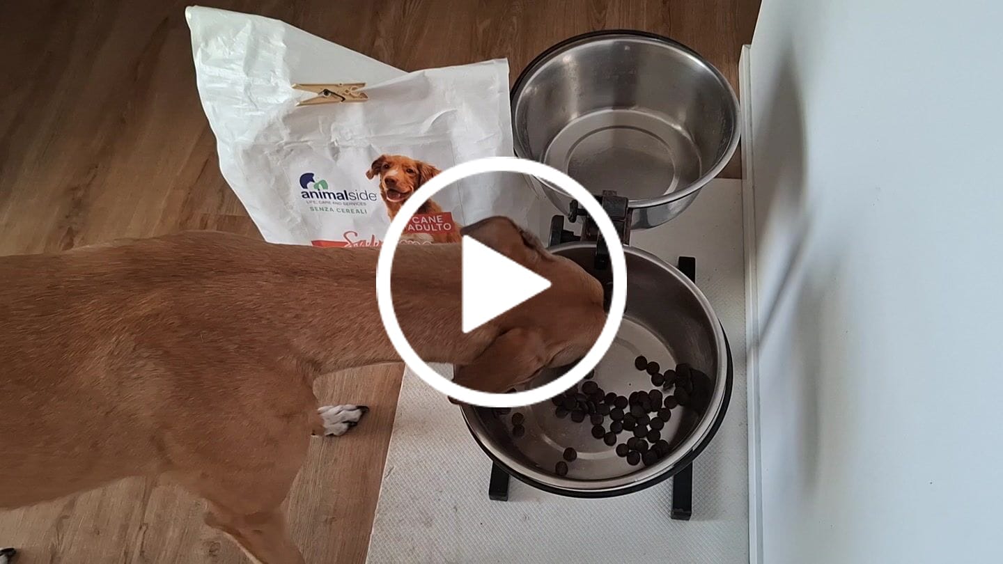 Customer video review of 100g Crocchette GRAIN FREE