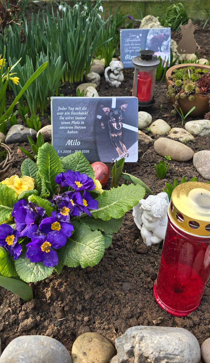 Customer photo review of Hunde Gedenktafel mit Foto & Spruch (UV- & Wetterfest)