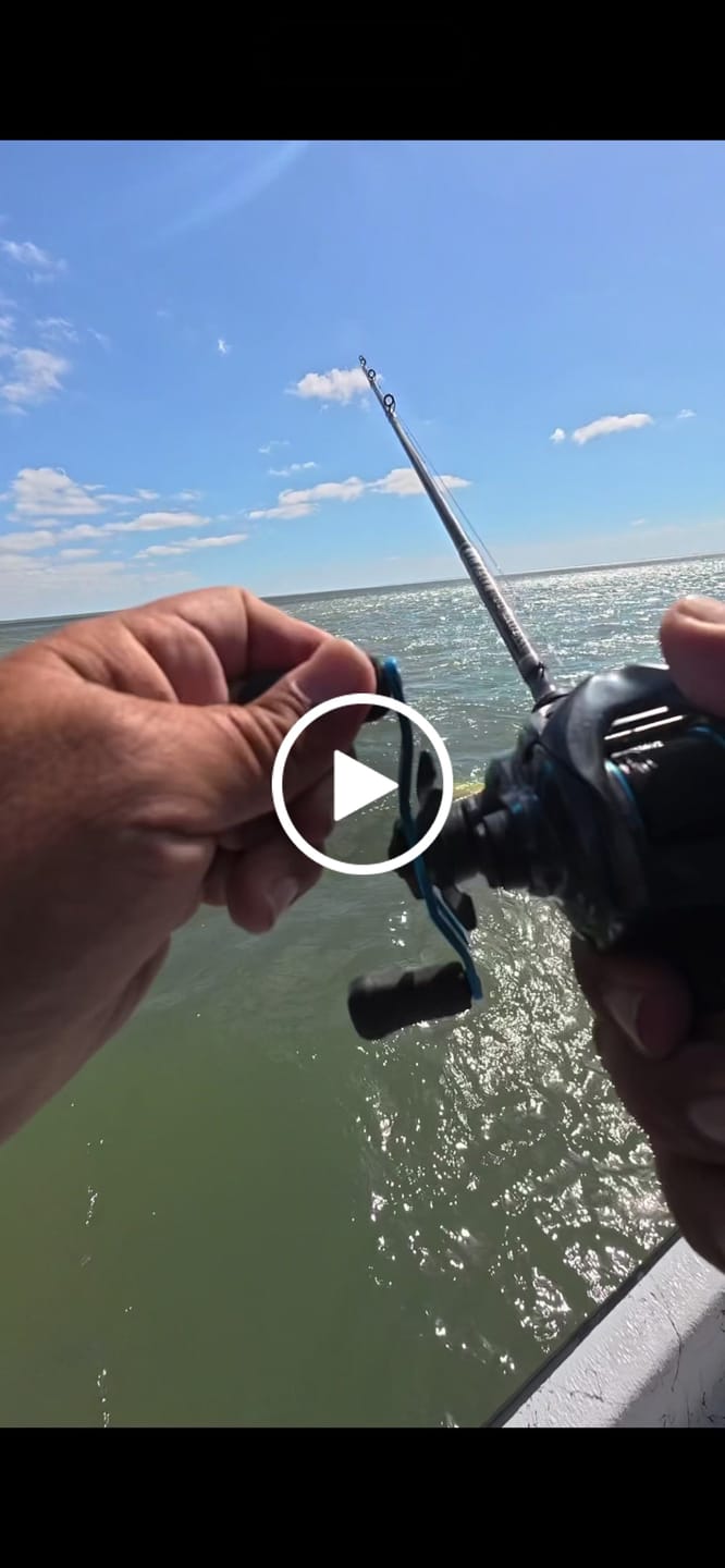Customer video review of Waterloo Salty Mag