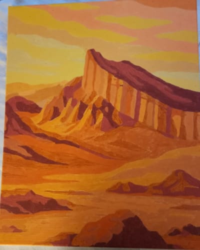 Customer photo review of Valle de la Luna (Pintura por Números) 40x50 cm