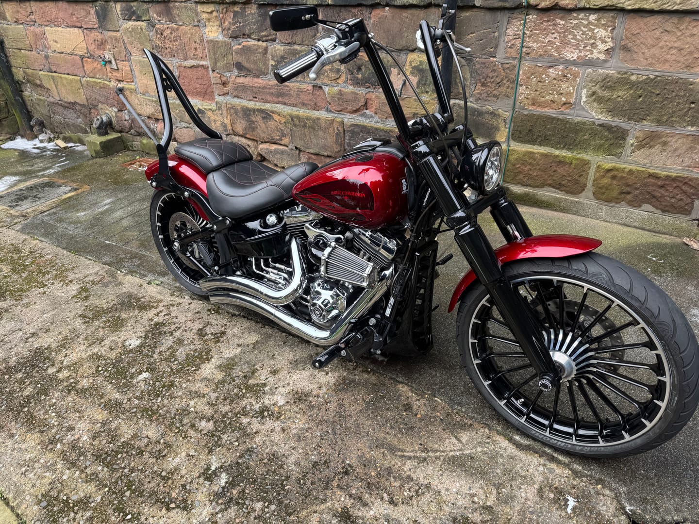 Customer photo review of The Detailing Warrior Kit