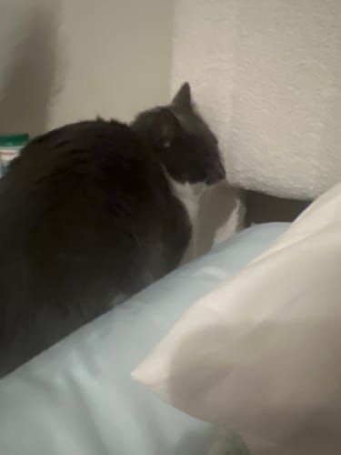 Customer photo review of One-Time Purchase