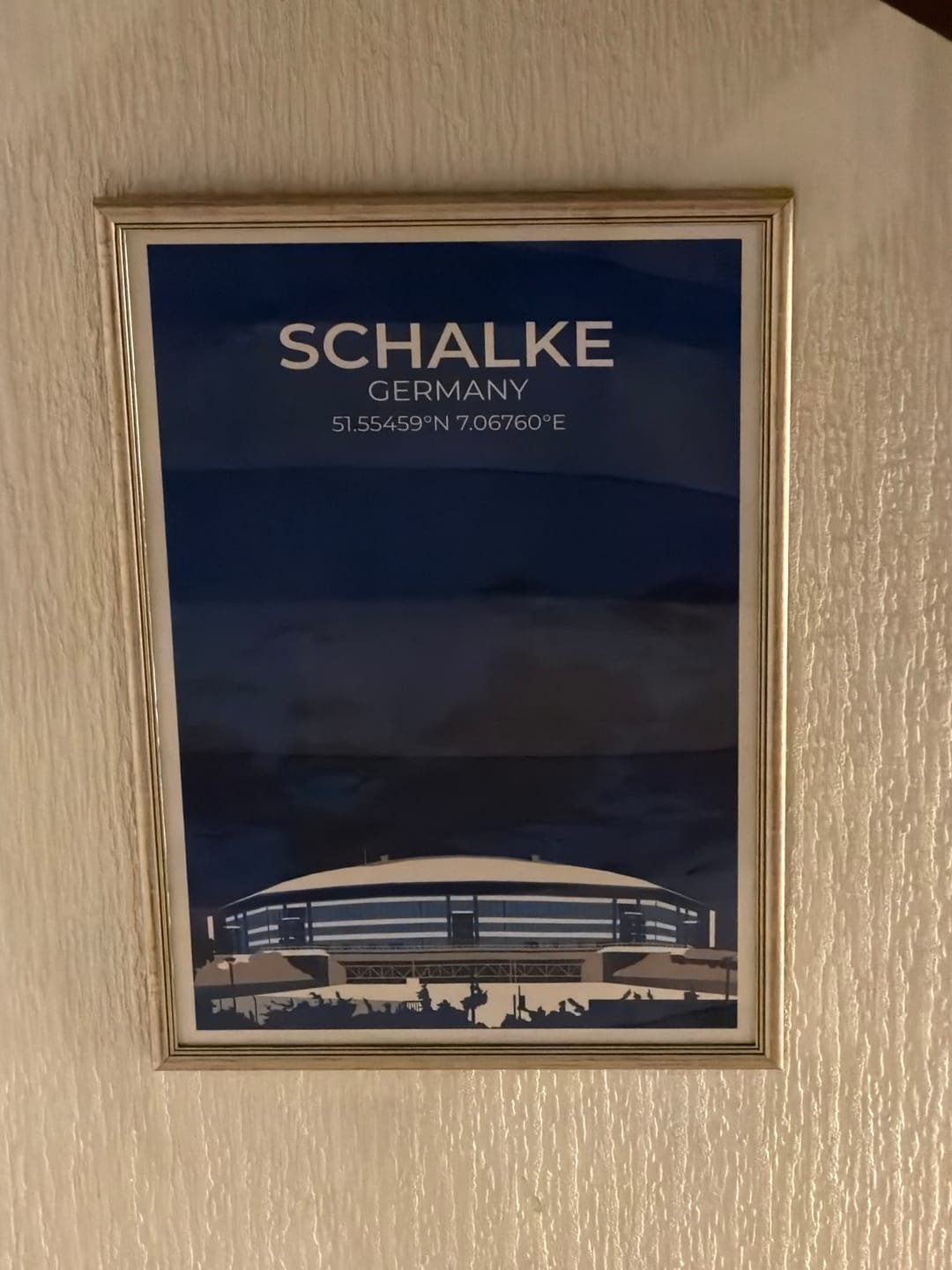 Customer photo review of Stadion Illustration Poster Schalke