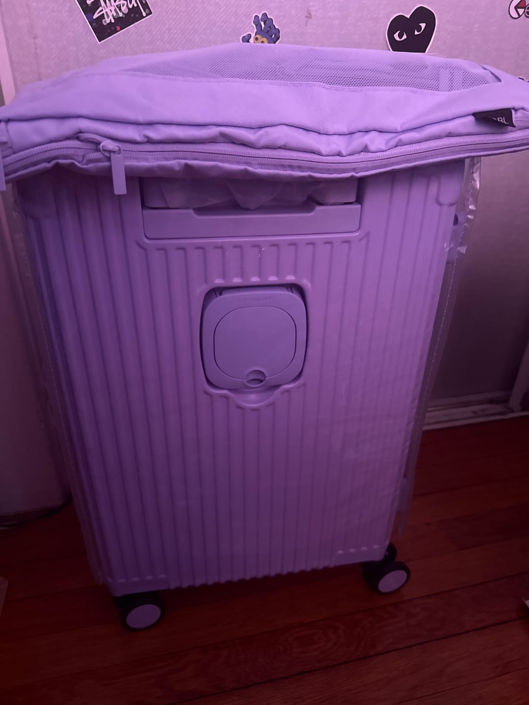 Customer photo review of Carry-On: All-in-One Expandable