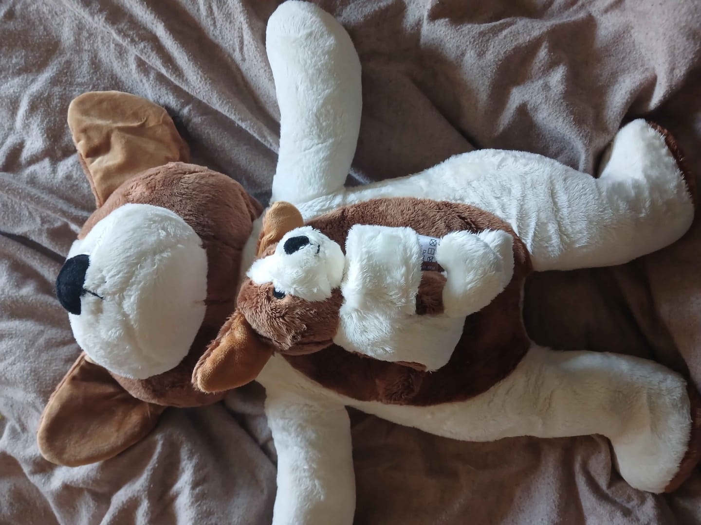 Customer photo review of Mini & Grote hond - Je bespaart €20