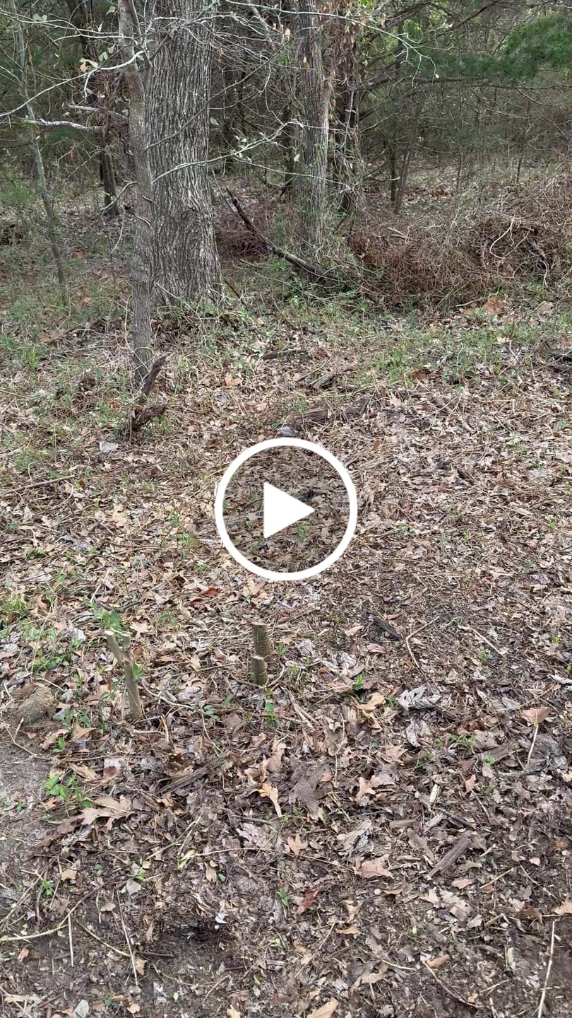 Customer video review of Grazer™ : Best Powerful Electric Battery Operated Cordless Metal Blade Weed Eater / Grass Trimmer