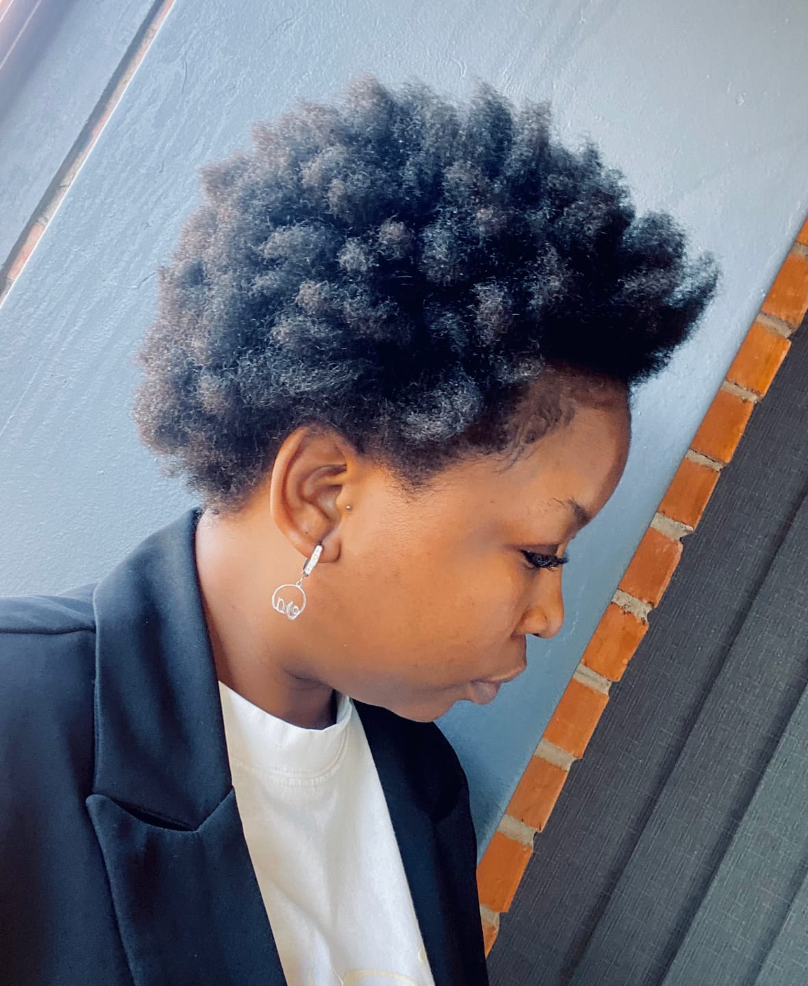 Customer photo review of Silver Precious Logo Earrings