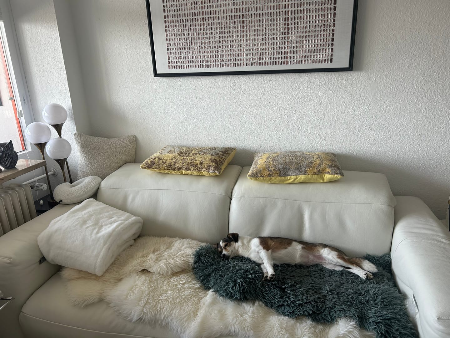 Customer photo review of Wurmtest Plus Hund