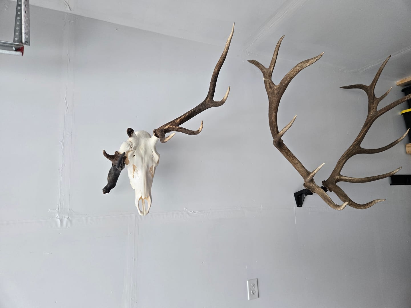 Customer photo review of SkulLok | Large Game