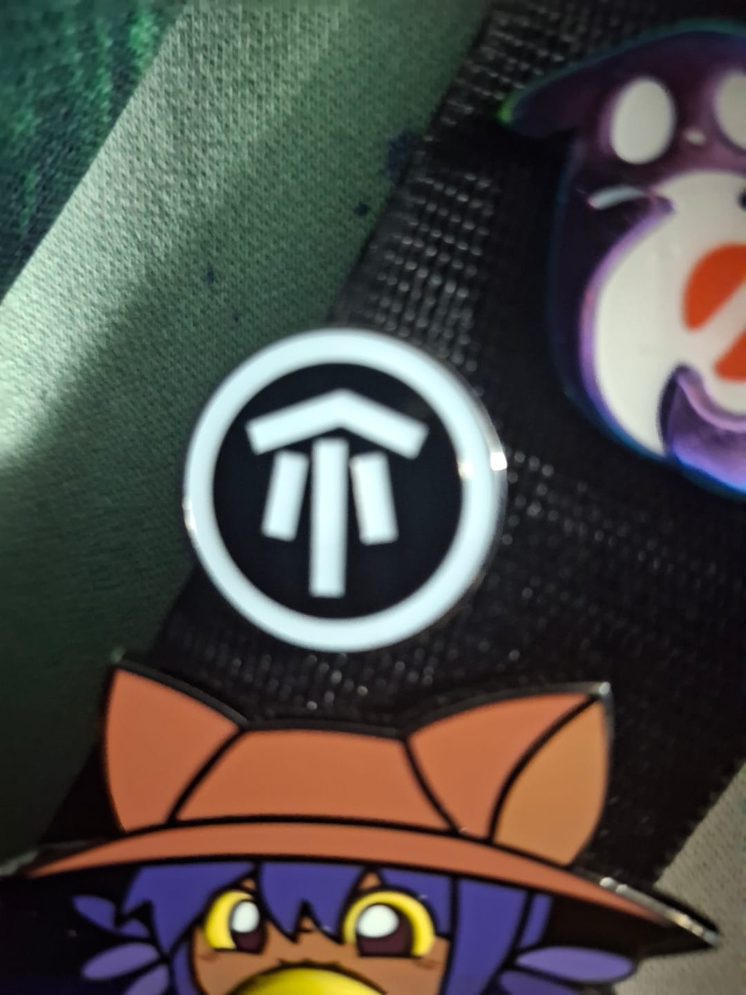 Customer photo review of Rain World - Karma Symbol Glow in the Dark Pins - Survival