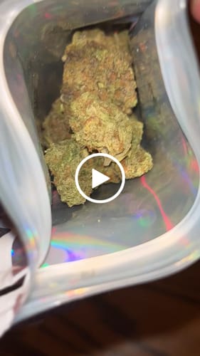 Customer video review of Greenhouse Flower