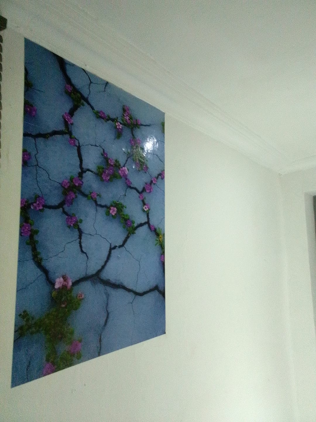 Customer photo review of Poster Prints