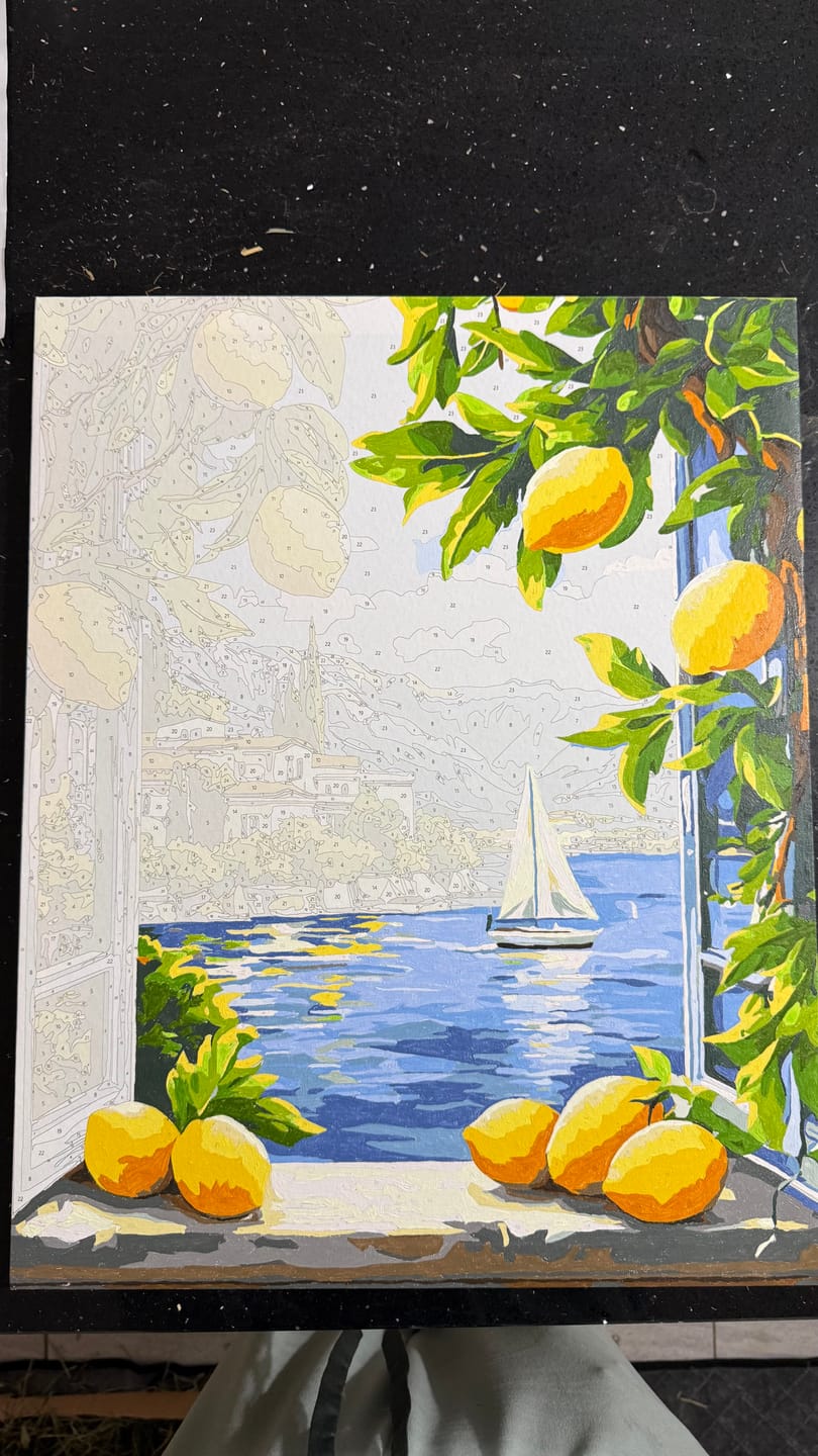 Customer photo review of Lemons & Italian Lake View | Paint by Number