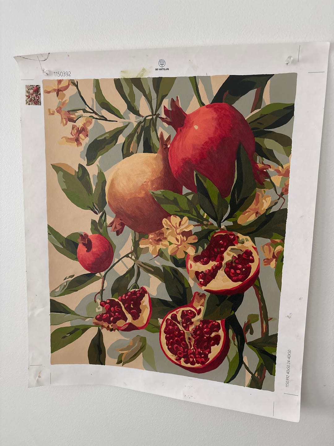 Customer photo review of Blooming pomegranates | Paint by Number