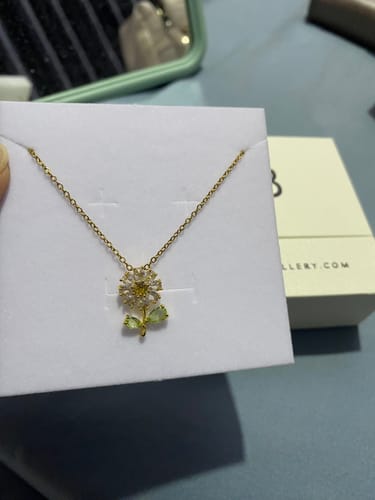 Customer photo review of FREE Gift Box + Silver Polishing Cloth (Worth RM24.90)