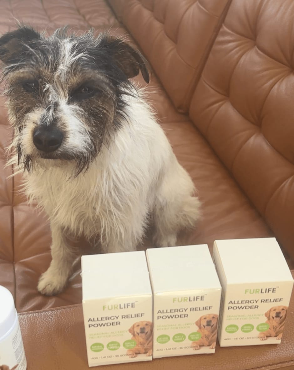 Customer photo review of FurLife™ - Allergy Relief Powder