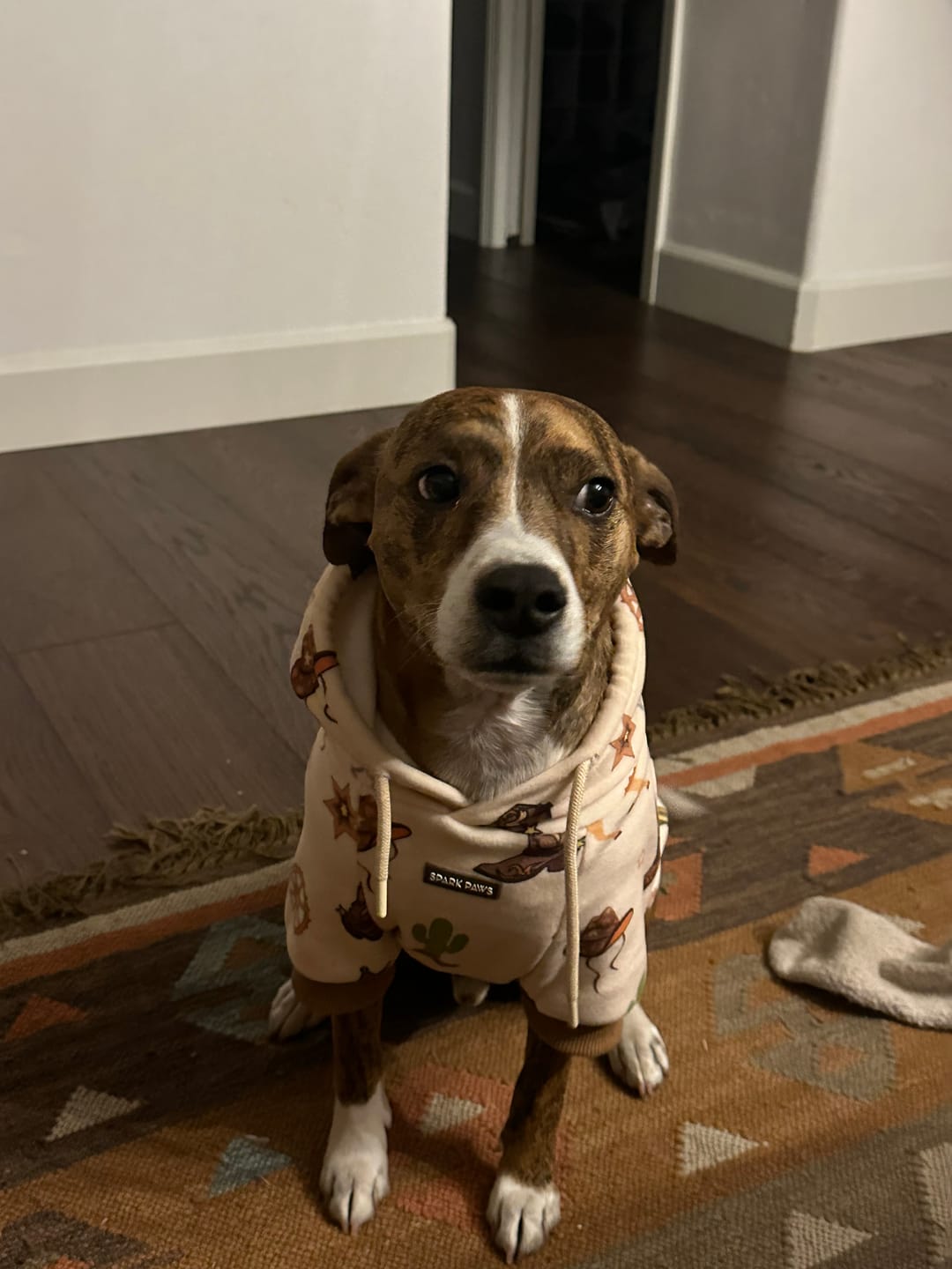 Customer photo review of Rodeo Dog Hoodie