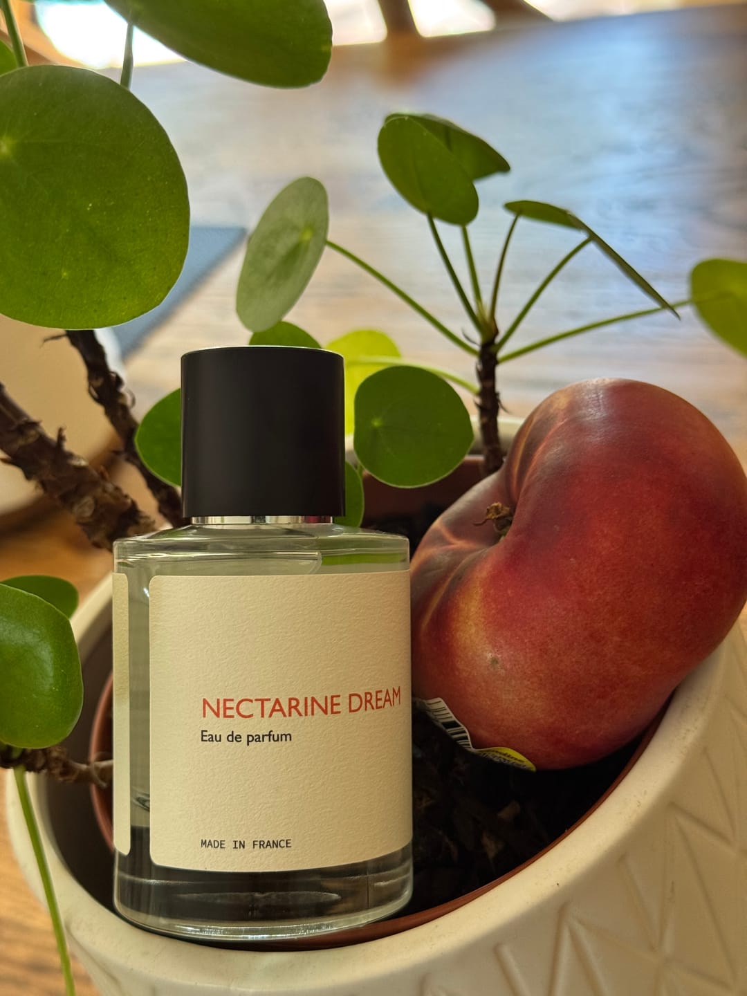 Customer photo review of Nectarine Dream