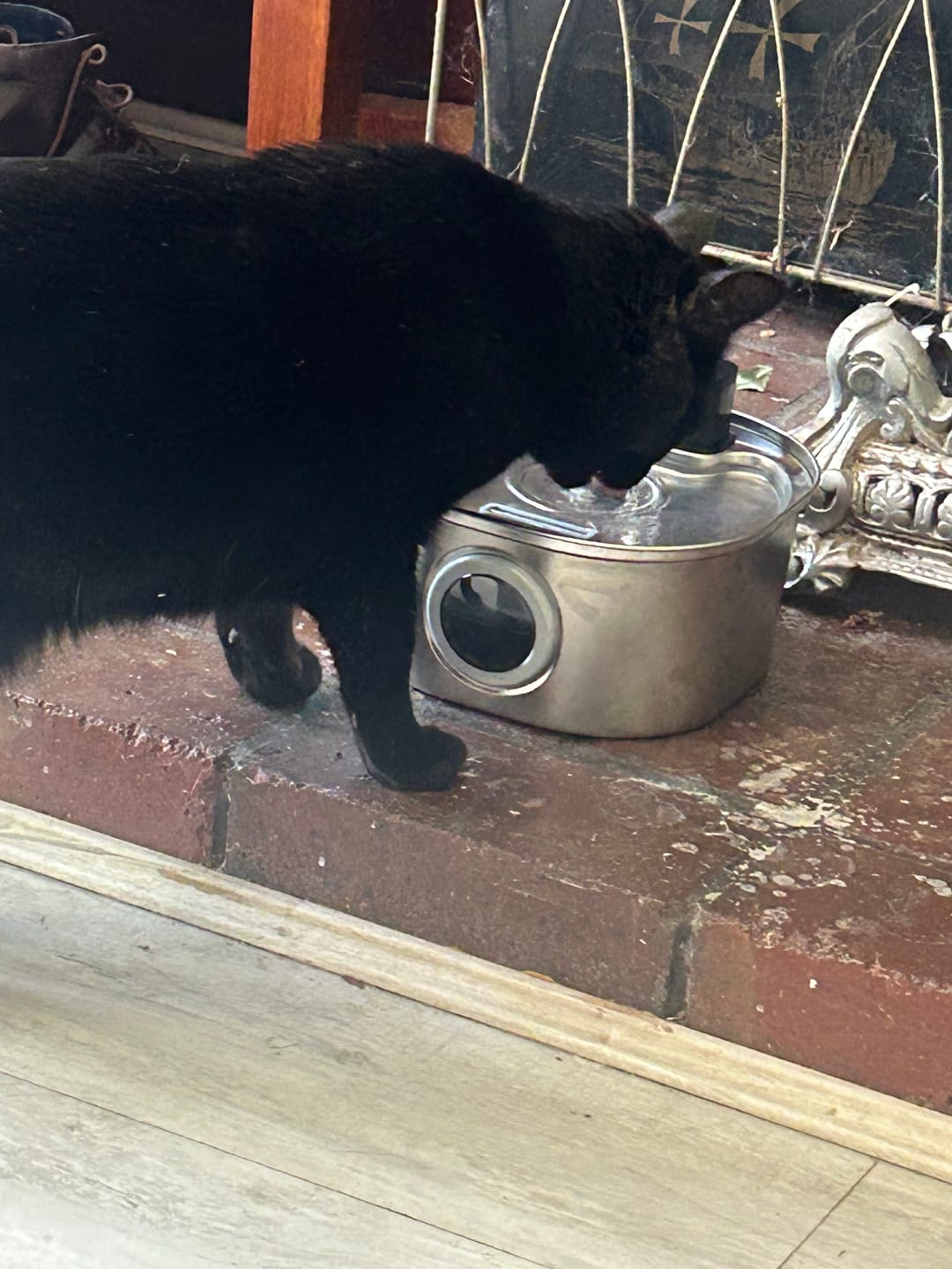 Customer photo review of 3.2L Wireless Whisker Co Drinking Fountain and Filter Replacement Packs