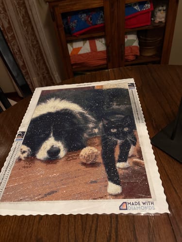 Customer photo review of Custom Diamond Painting Kit