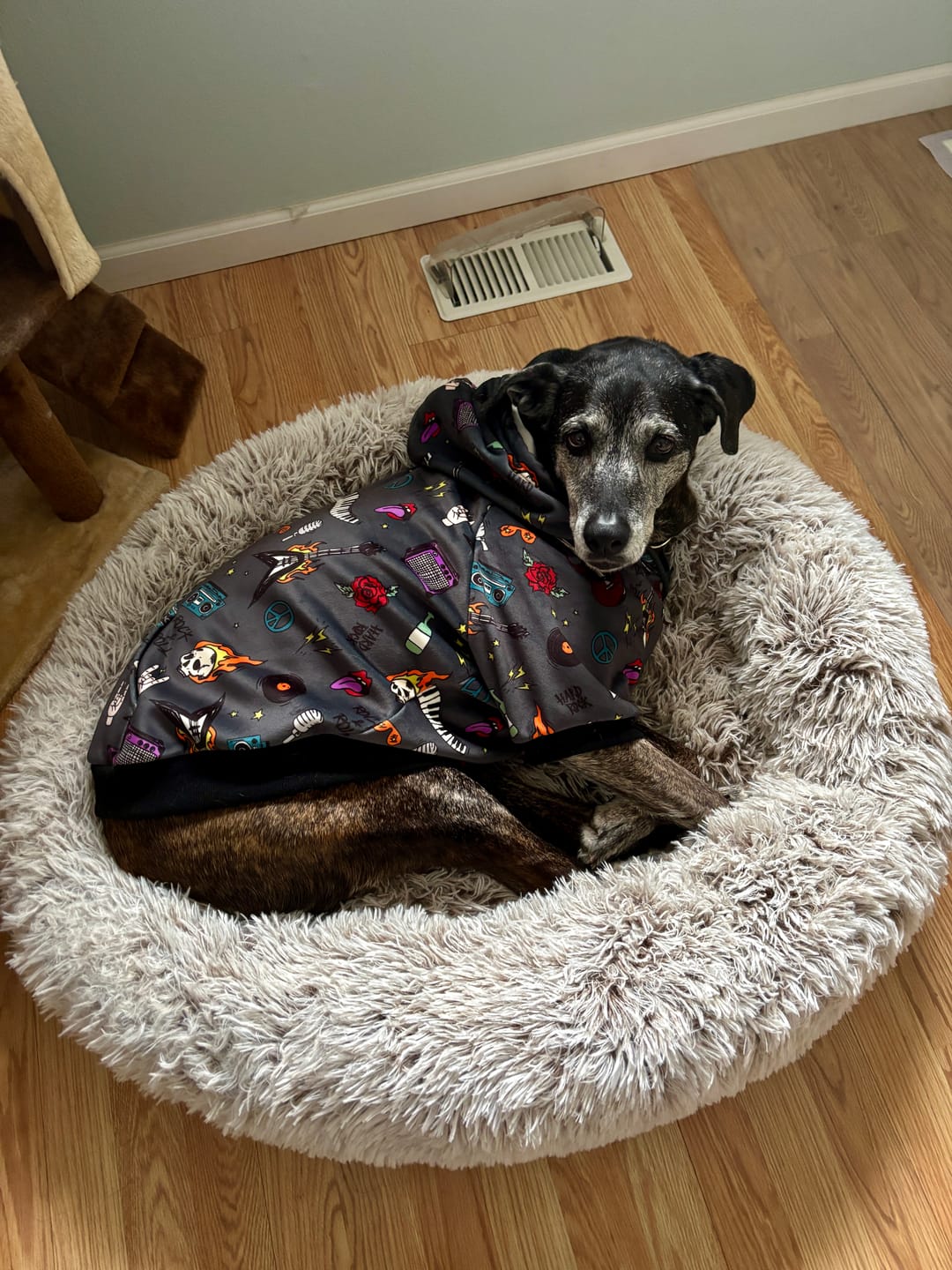 Customer photo review of Dog Hoodie Prints