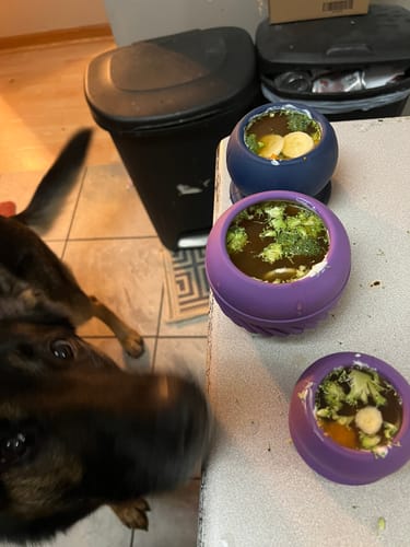 Customer photo review of Freezball - Durable Fillable Dog Chew Bone