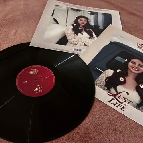 Customer photo review of VINYL RECORDS - LANA DEL REY