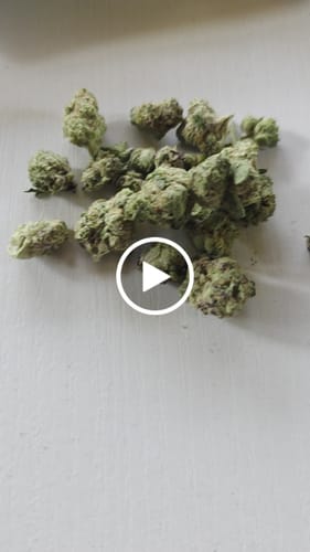 Customer video review of Exotic Micros