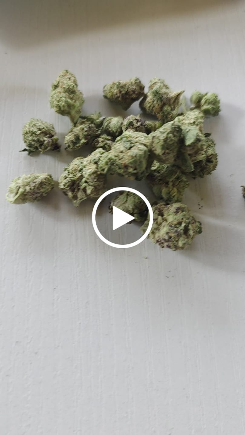 Customer video review of Exotic Micros