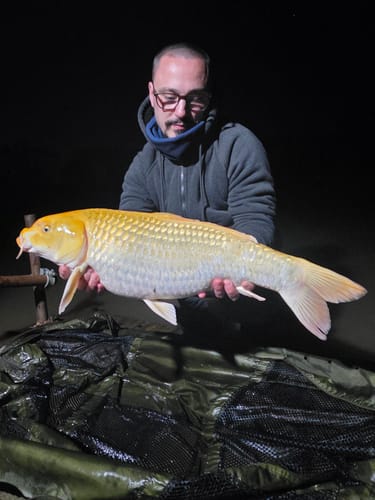 Customer photo review of PACK AMBASSADEUR