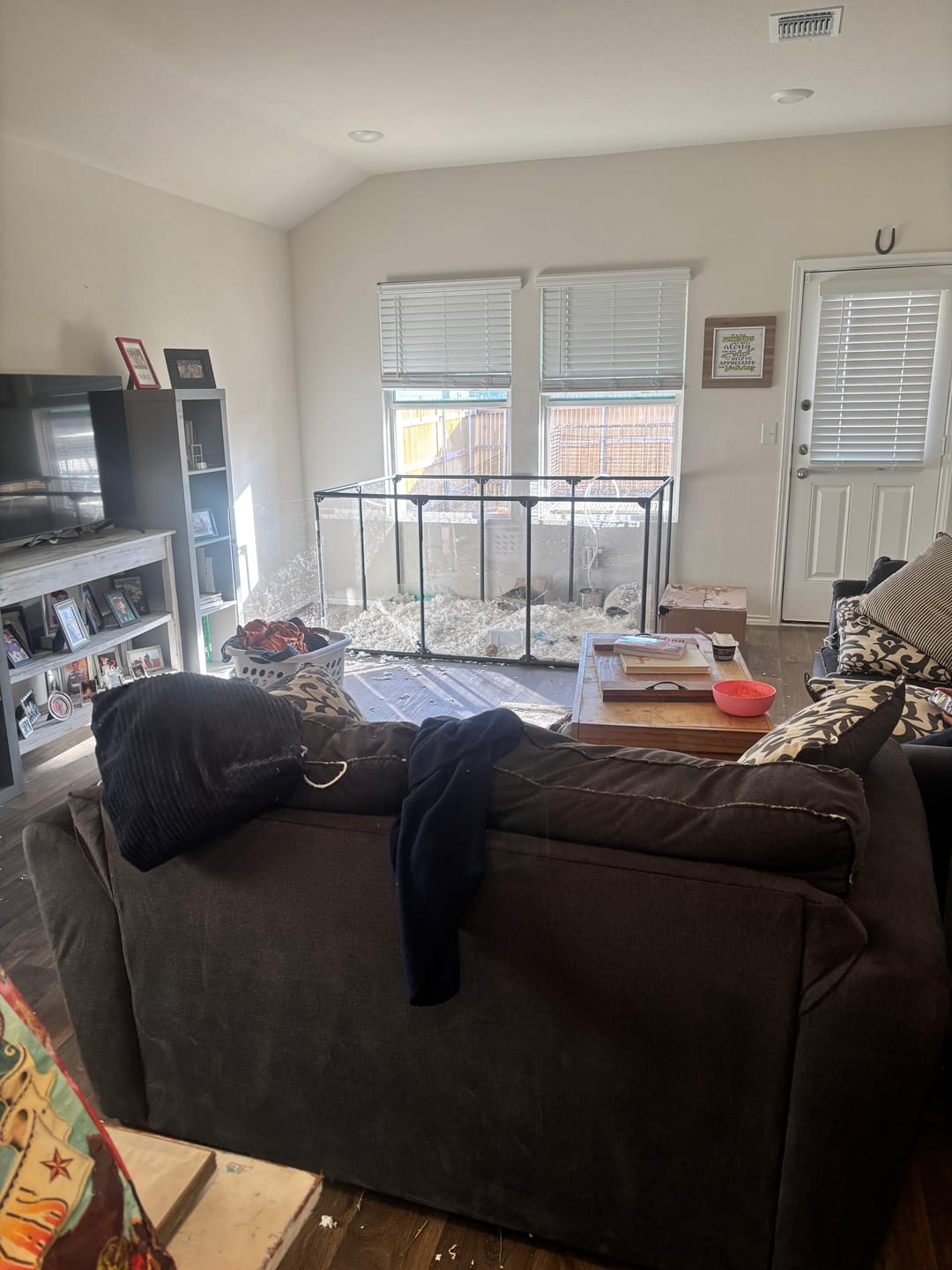Customer photo review of 36" Tall Large Lucidium Pet Pen