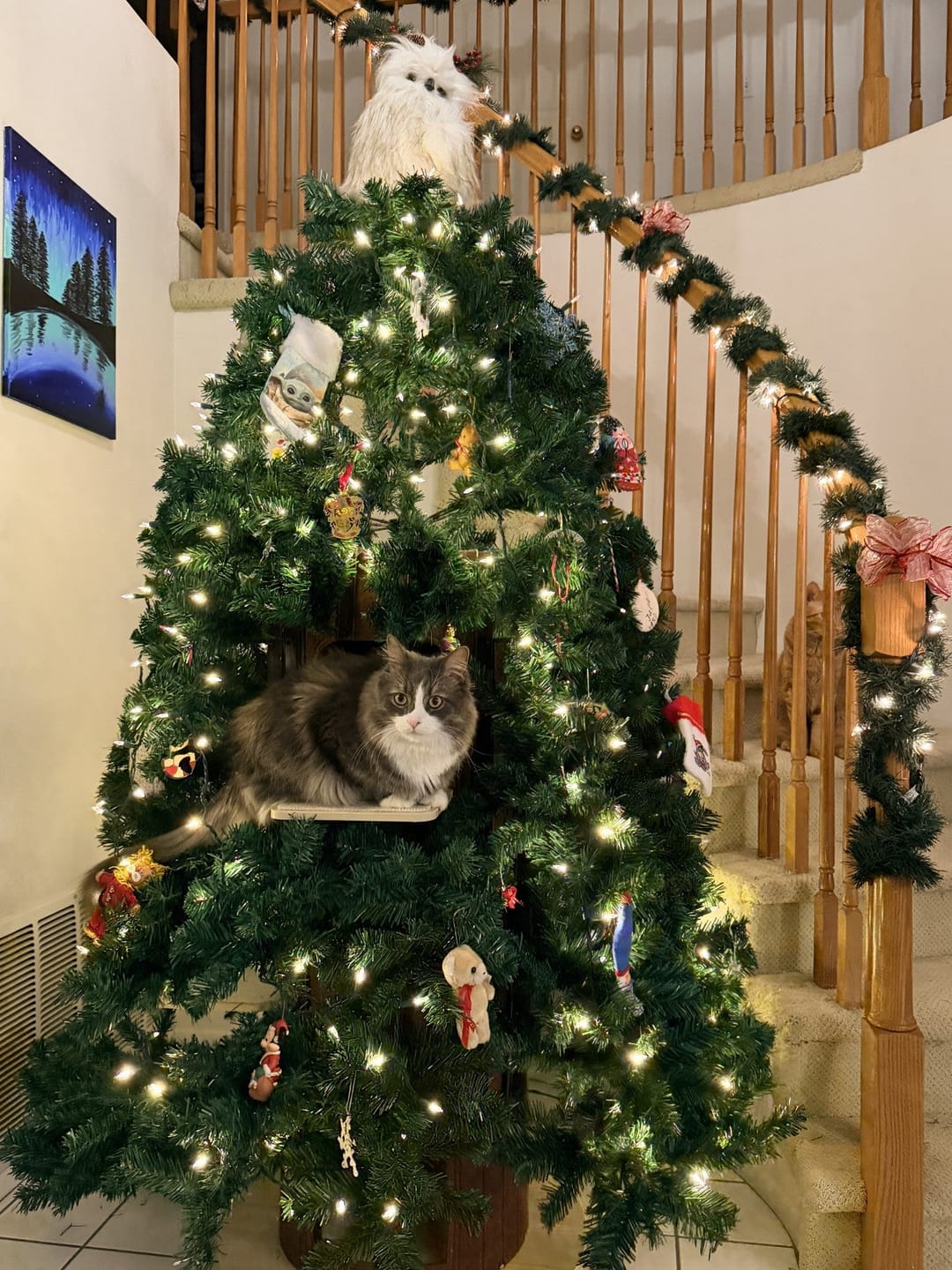 Customer photo review of Cat Christmas Tree - Sep 2026