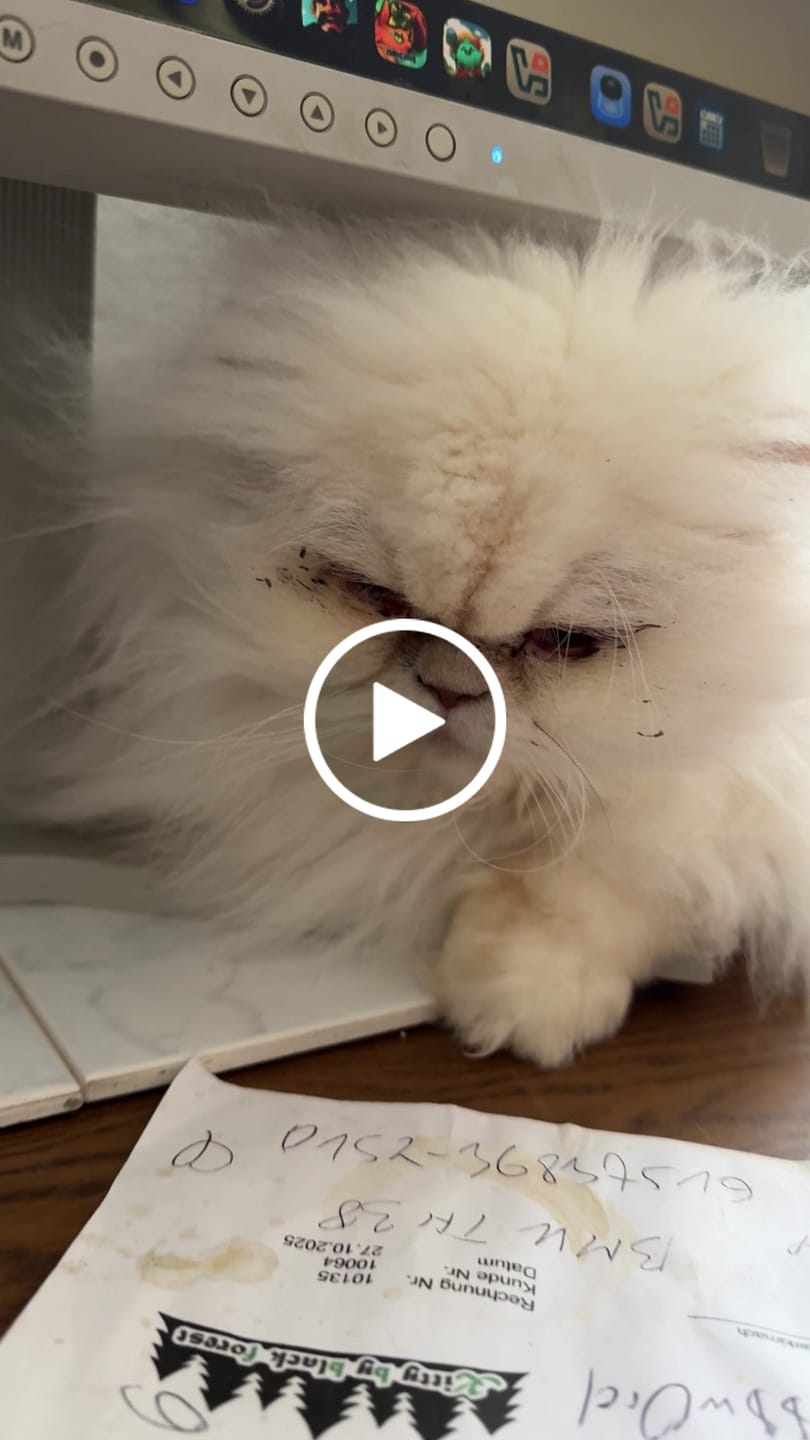 Customer video review of Allergietest - Tierische Proteine Katze