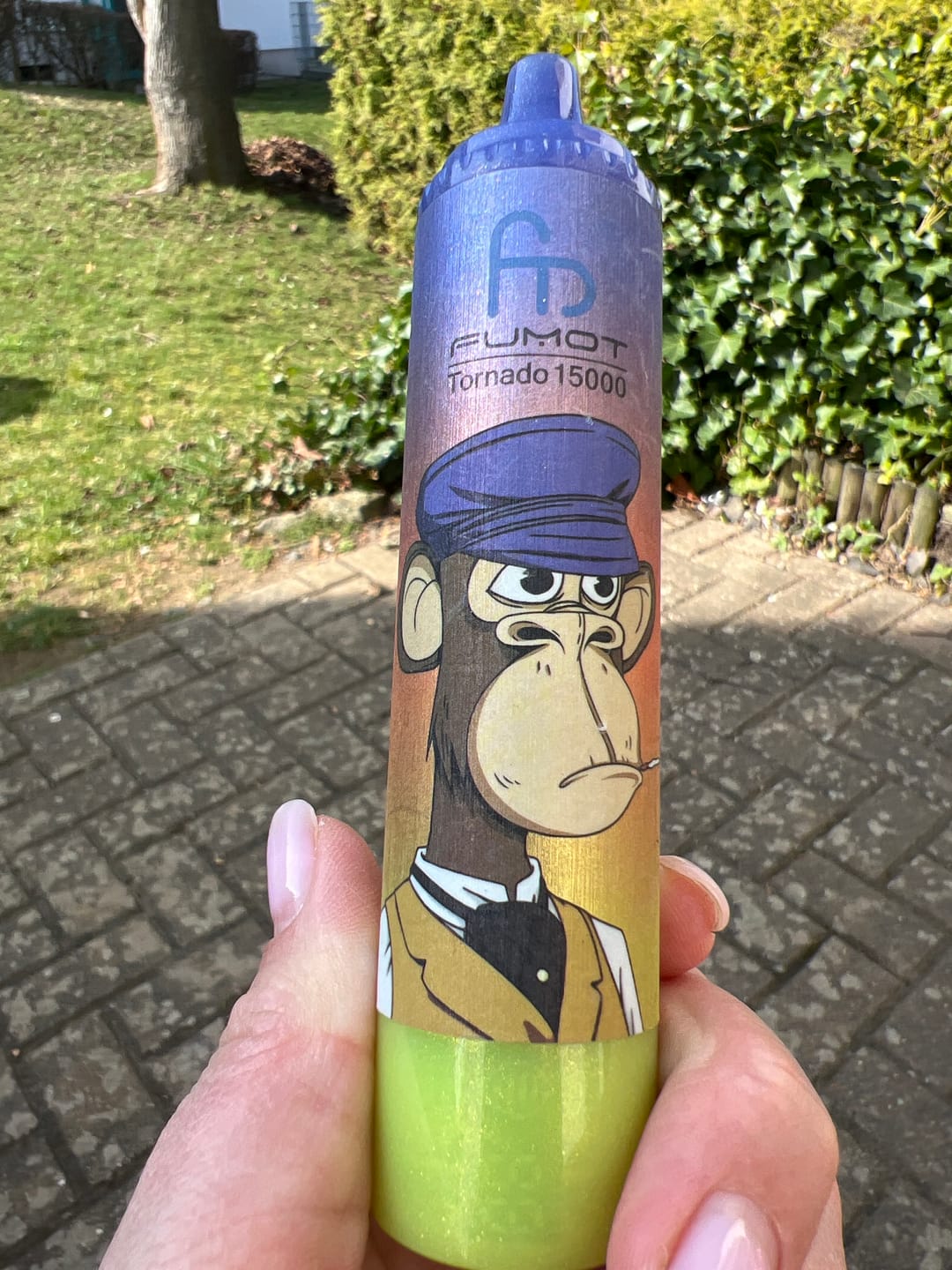 Customer photo review of RandM Tornado 15.000