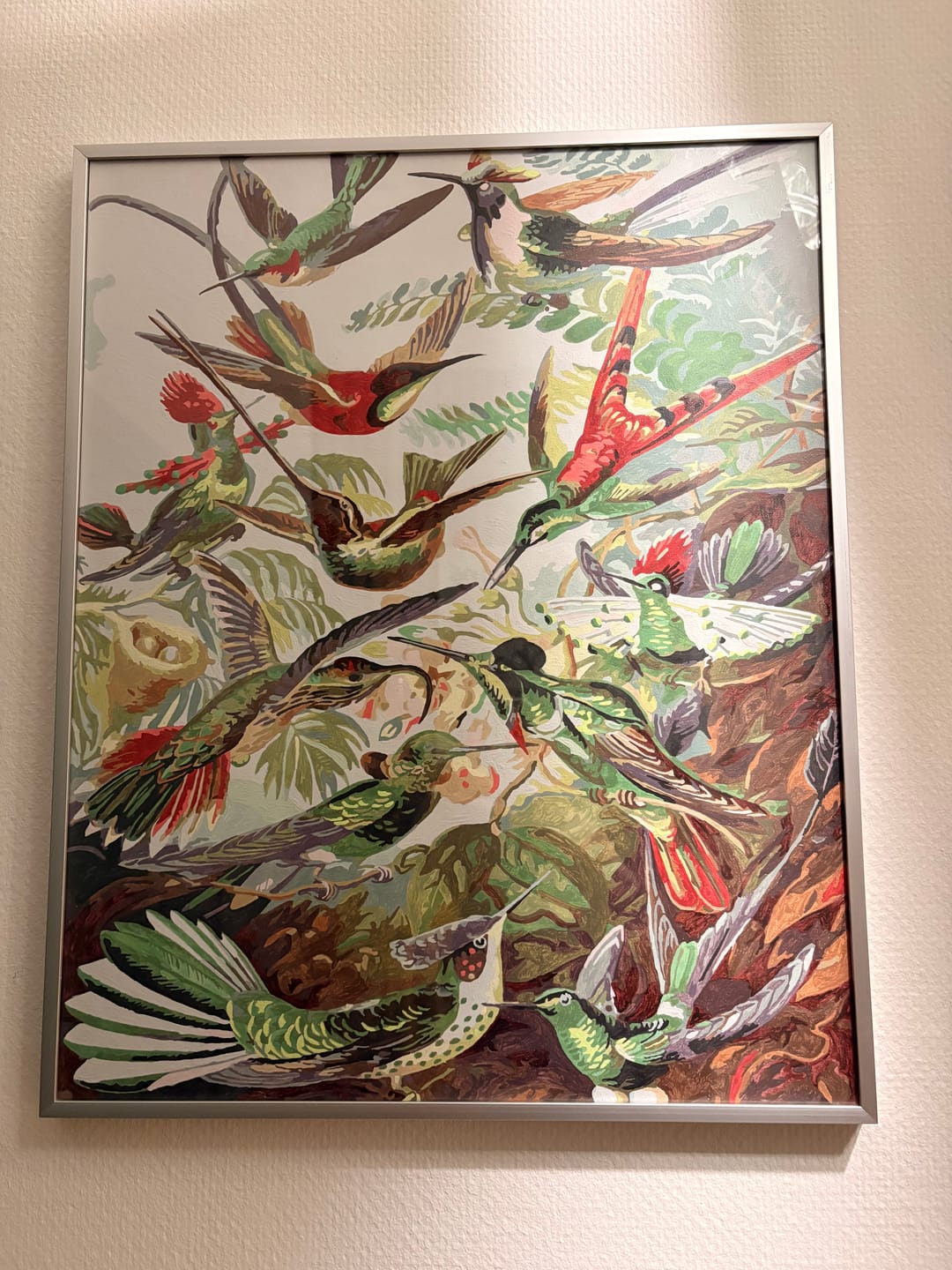 Customer photo review of Malen nach Zahlen - Trochilidae–Kolibris von Ernst Haeckel