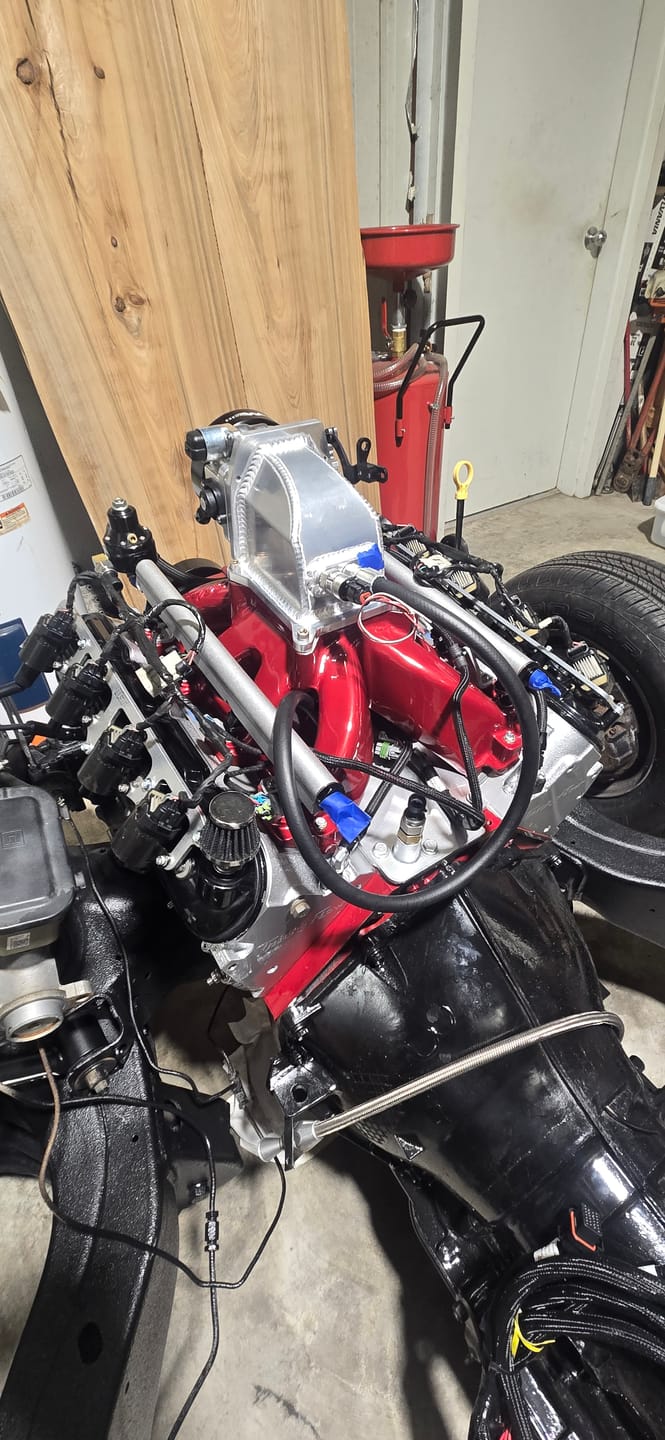 Customer photo review of RIFE 3 pin Connector Kit w/ flying leads