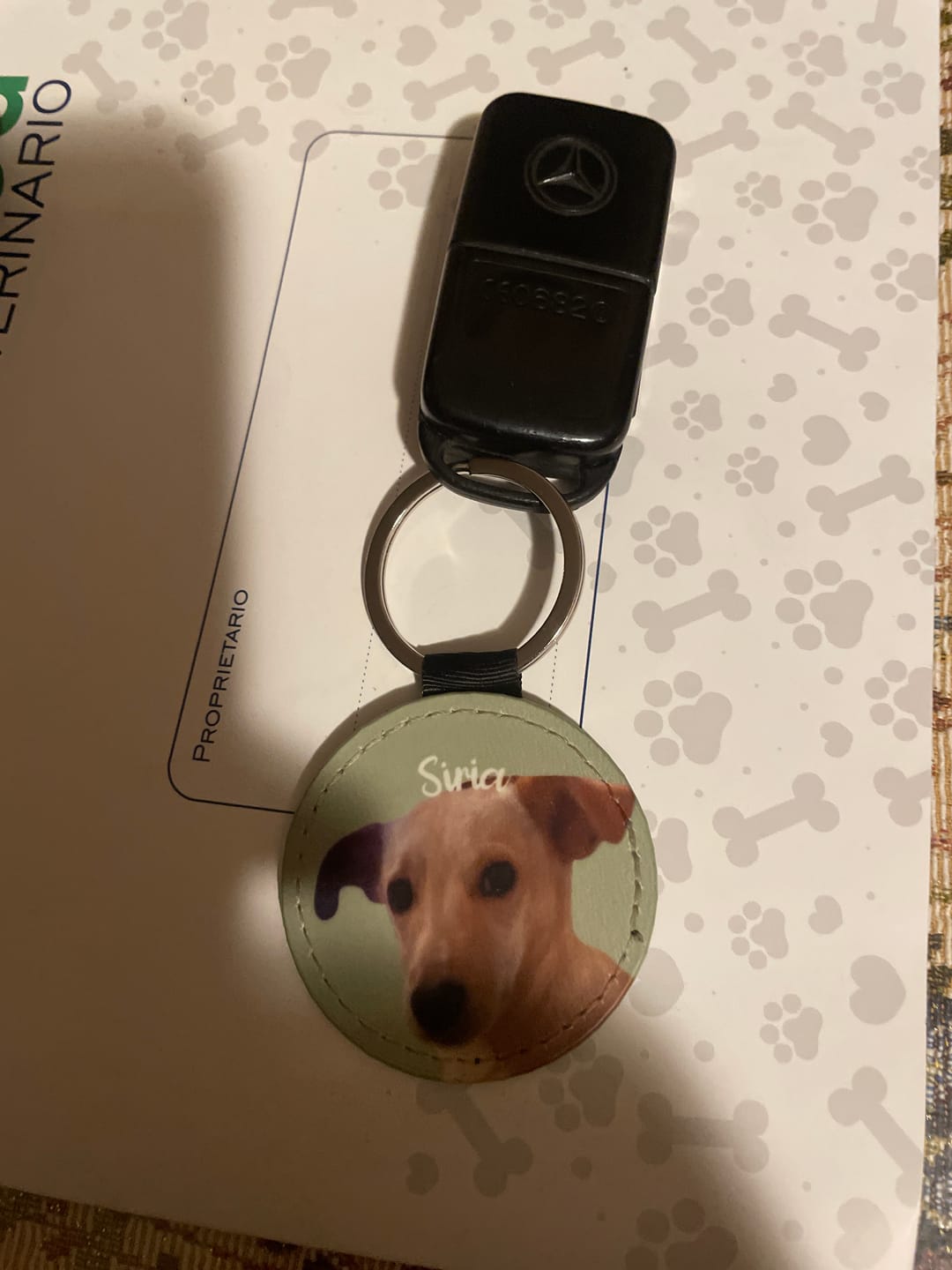 Customer photo review of Ritratto animale domestico - Portachiavi personalizzato