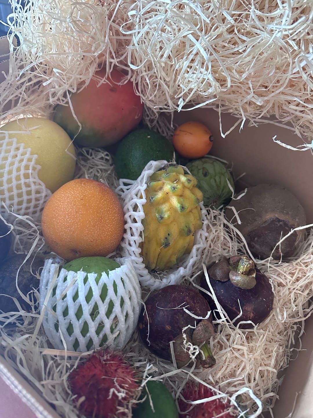 Customer photo review of Tropenreise Südamerika Box