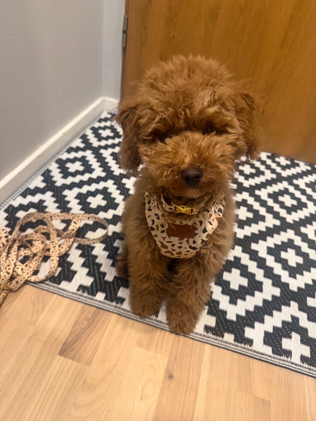 Customer photo review of Szelki bezuciskowe "Beige Terrazzo" - złote okucia