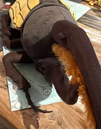 Customer photo review of Hercules Beetles Soft Stuffed Plush Toy