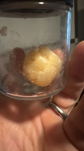 Customer photo review of Garlic Cookies | THCA Crumble