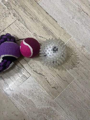 Customer photo review of CT9740 1 Pieza De Juguete Para Mascota