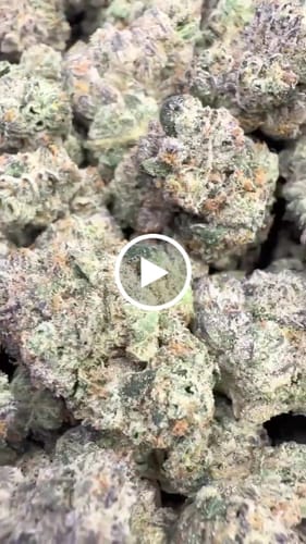 Customer video review of Bulk Indoor THCA Smalls