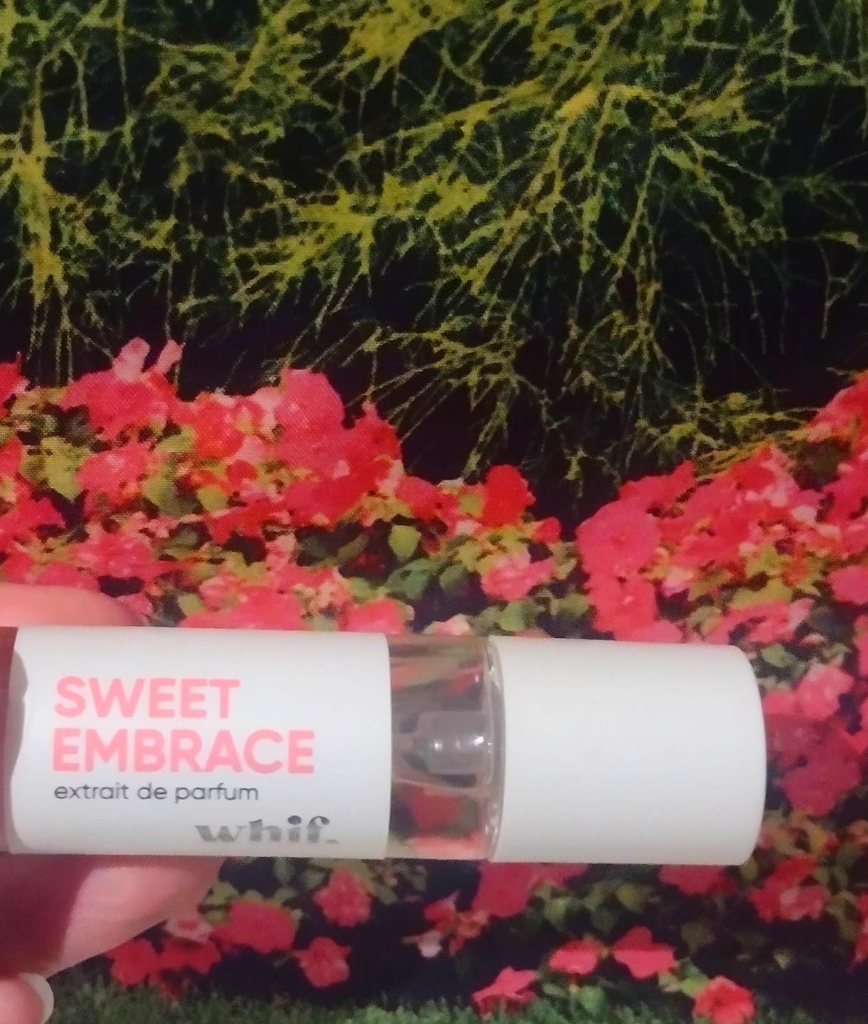 Customer photo review of Sweet Embrace